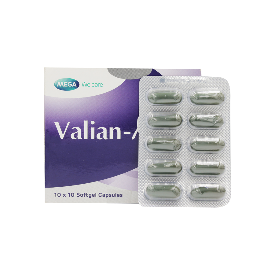Valian-X Mega (H/100v)