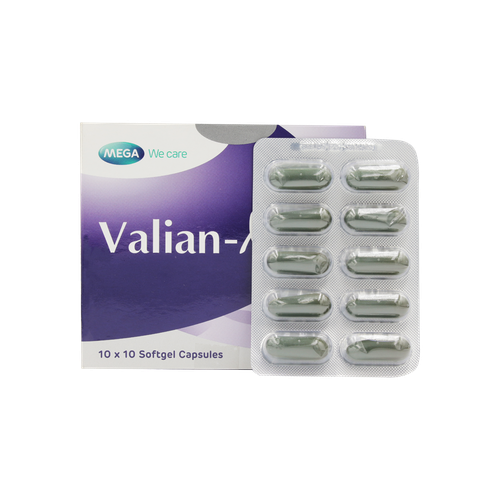 Valian-X Mega (H/100v)