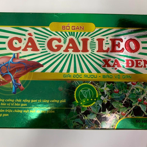 Cà Gai Leo Xạ Đen Usa (H/60v)