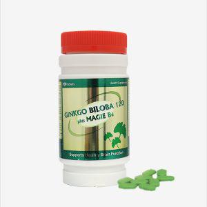 Ginkgo Biloba 120 Plus Magie B6 Mediphar (C/100v)