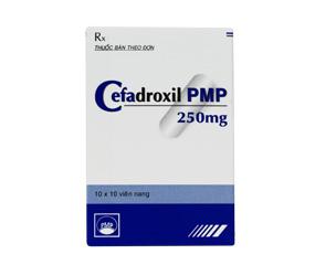 Cefadroxil 250mg Pymepharco (H/100v)