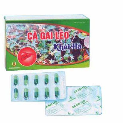 Tithi Cà Gai Leo Tiến Thịnh ( H/50v)