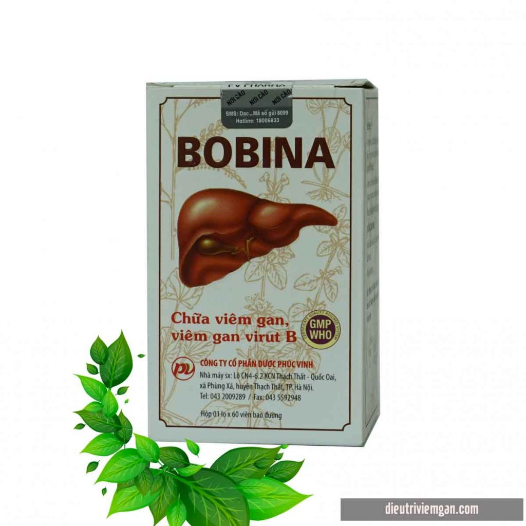 Bobina (Diệp Hạ Châu, Bồ Bồ, Rau Má) Phúc Vinh (H/60v)