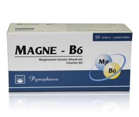 Magne B6 Pymepharco (H/50v)