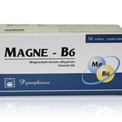 Magne B6 Pymepharco (H/50v)