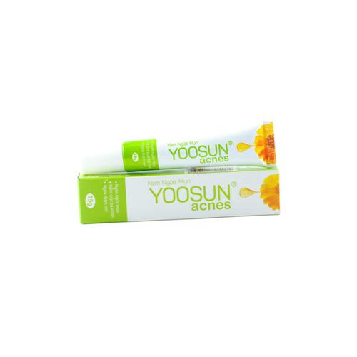 Kem Ngừa Mụn Yoosun Acnes Đại Bắc (T/15gr) (Trắng)