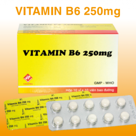 Vitamin B6 250mg Vidipha (H/100v)