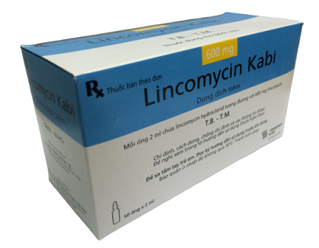 Lincomycin Kabi 600mg Bidiphar​​​​​​​ (H/50 ống/2ml)