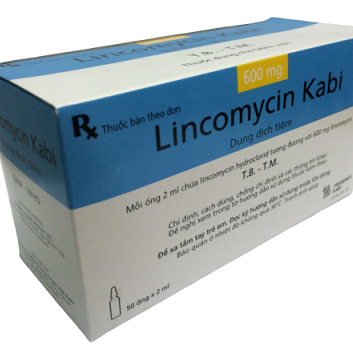 Lincomycin Kabi 600mg Bidiphar​​​​​​​ (H/50 ống/2ml)
