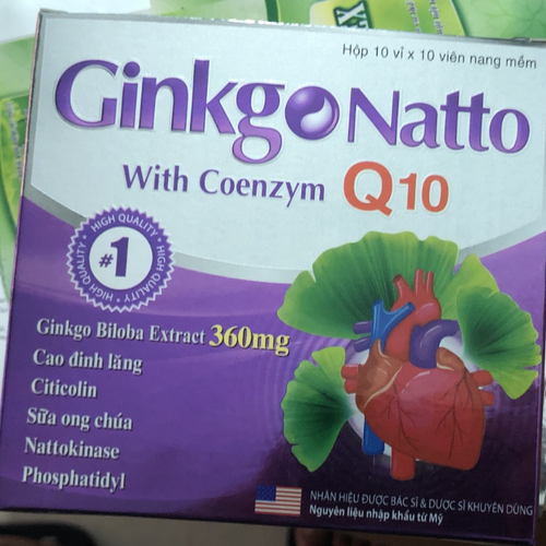 Ginkgo Natto 360mg Coenzym Q10 USA (H/100v) (Tím)