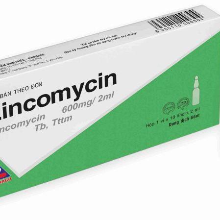 Lincomycin 600mg/2ml Vinphaco (H/10o/2ml)