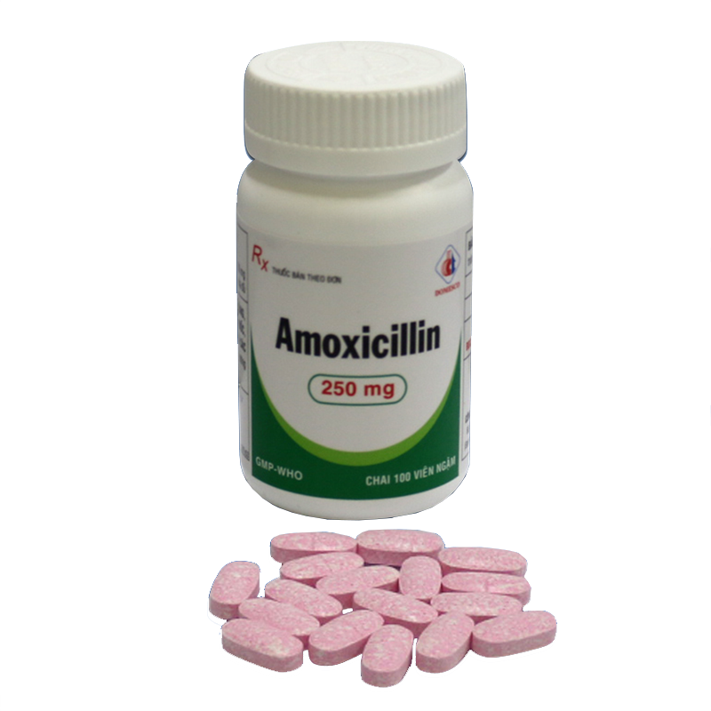Amoxicillin 250mg Ngậm Domesco (C/100v)