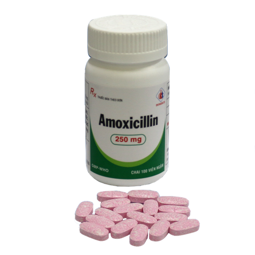 Amoxicillin 250mg Ngậm Domesco (C/100v)