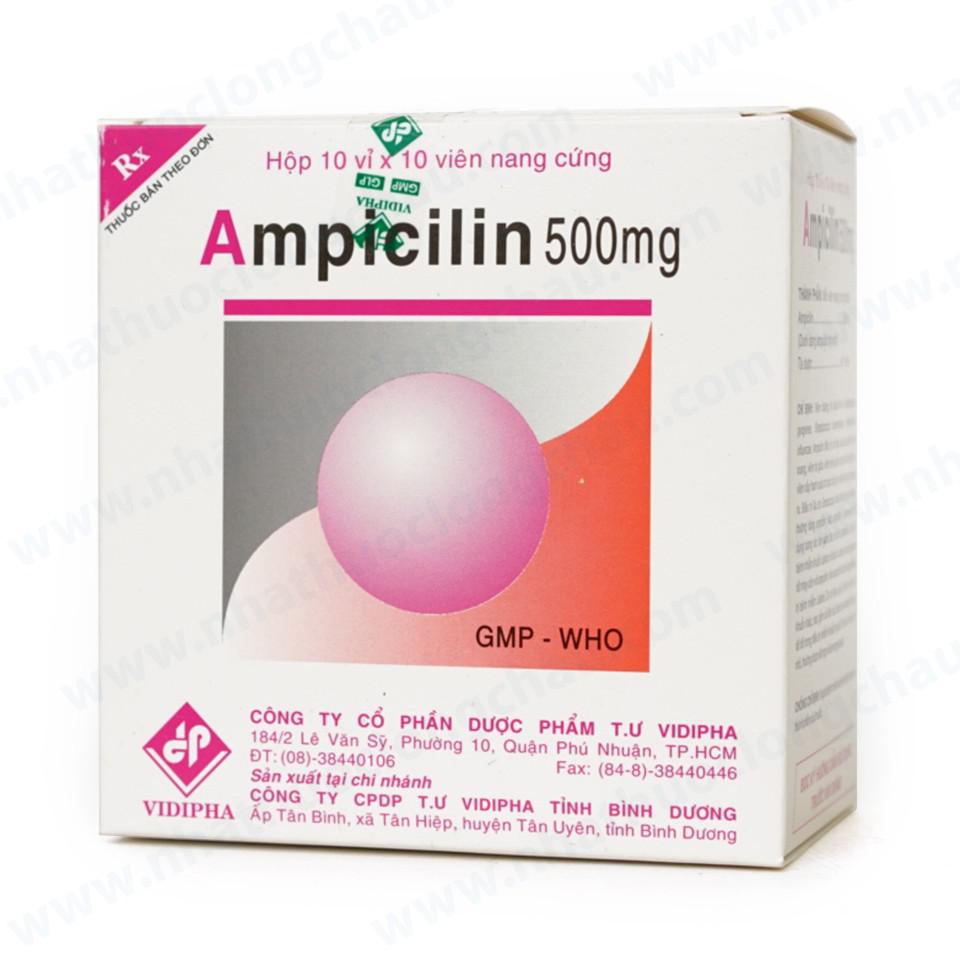 Ampicilin 500mg Vidipha (H/100v)