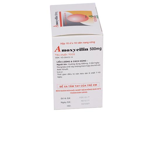 Amoxycilin 500mg Vidipha (H/100v)