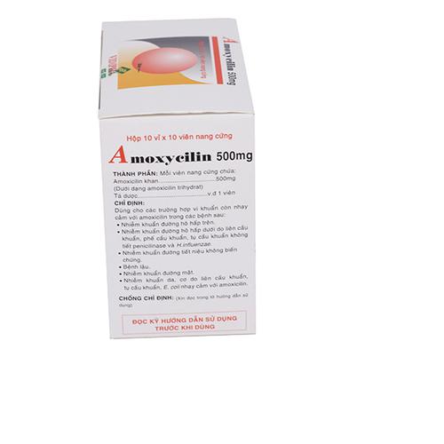 Amoxycilin 500mg Vidipha (H/100v)