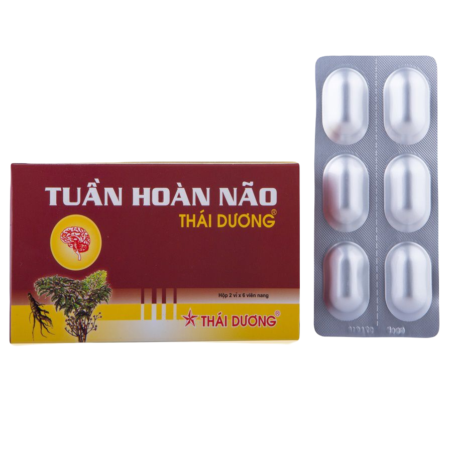 Tuần Hoàn Não Thái Dương (H/12v)