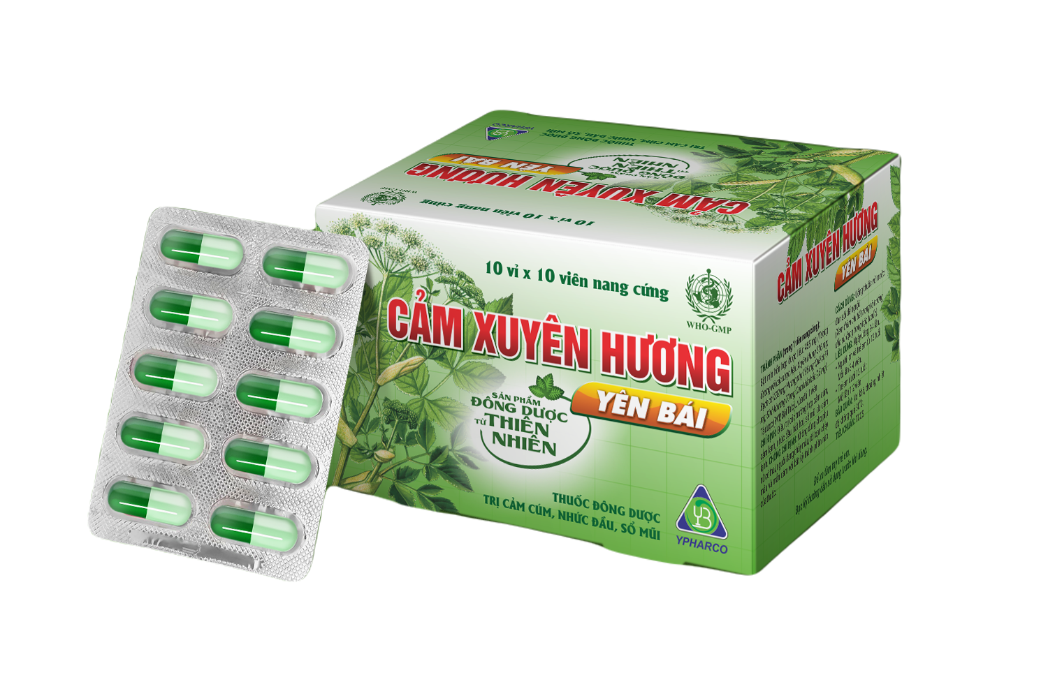 Cảm Xuyên Hương Yên Bái Ypharco (H/100v)