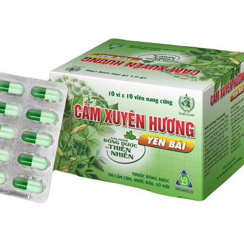 Cảm Xuyên Hương Yên Bái Ypharco (H/100v)