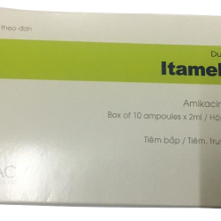 Itamekacin (Amikacin) 500mg/2ml Medlac (H/10o/2ml)