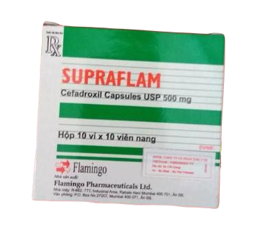 Supraflam (Cefadroxil) 500mg Flamingo (H/100v)