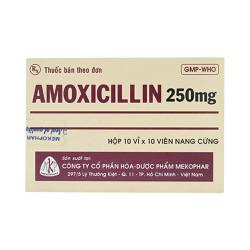 Amoxicillin 250mg Mekophar (H/100v)
