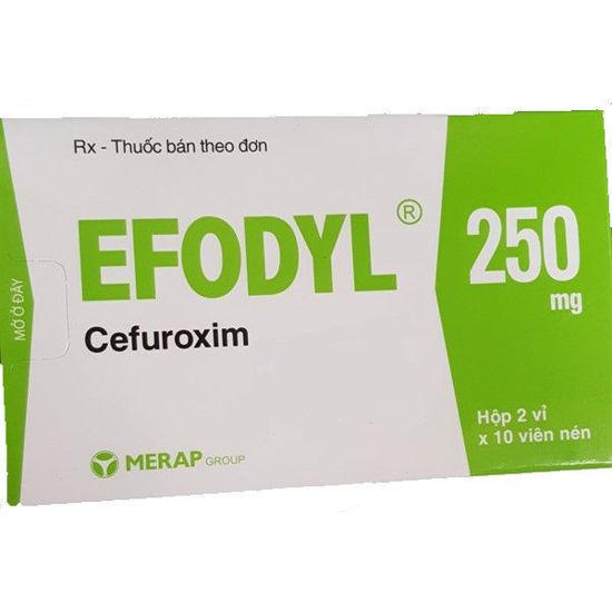 Efodyl (Cefuroxim) 250mg Merap (H/20v)