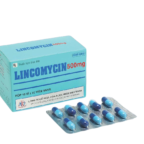 Lincomycin 500mg Mekophar (H/100v)