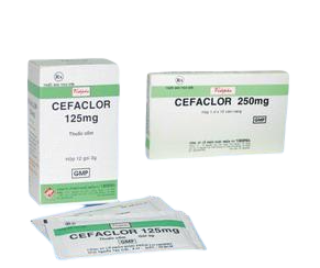 Cefaclor 250mg Vidipha (Hộp/12v)