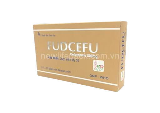 Fudcefu (Cefuroxim) 500mg Phương Đông (H/10v)