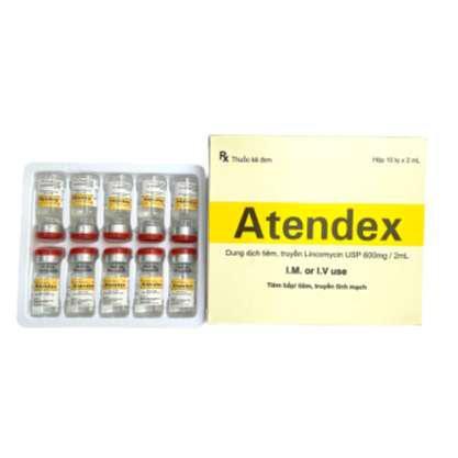 Atendex (Lincomycin) 600mg/2ml Makcur (H/10 lọ)