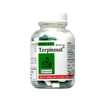 Terpinzoat (Terpin Hydrat, Natri Benzoat) TV.Pharm (C/100v)