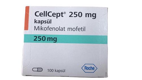 CellCept 250mg (Mikofenolat Mofetil) Roche (H/100v) TNK