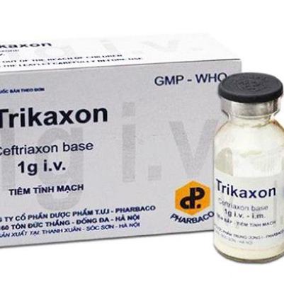 Trikaxon 1g IV (Ceftriaxon) Pharbaco (H/10h/lọ)
