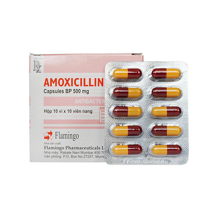 Amoxicilin 500mg Flamingo (H/100v)