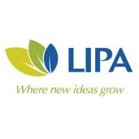 Lipa