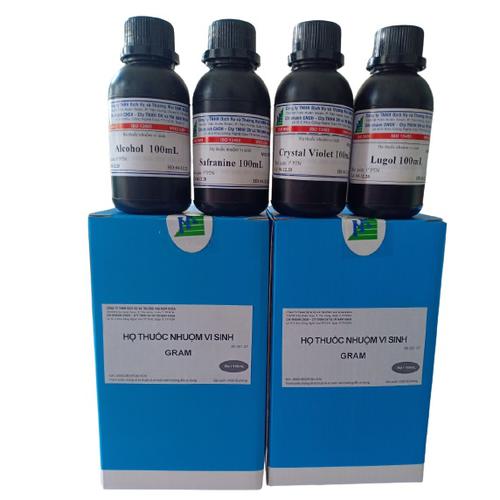 Bộ Nhuộm Gram 100ml (Bộ)
