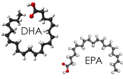 EPA là gì? Một Số Tác Dụng Của EPA Bạn Cần Biết