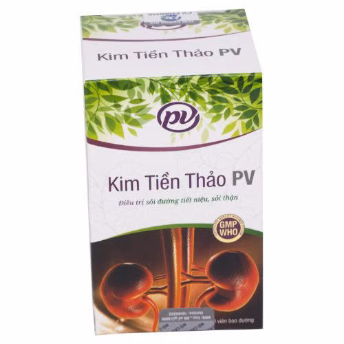Kim Tiền Thảo PV Phúc Vinh (H/100v)