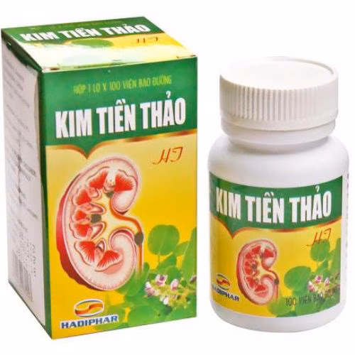 Kim Tiền Thảo Hadiphar (C/100v)