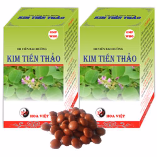 Kim Tiền Thảo Hoa Việt (C/100v)