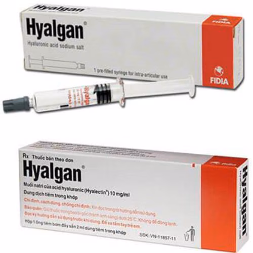 Hyalgan 20mg/2ml (Hyaluronic Acid) Fidia (H/1ống)